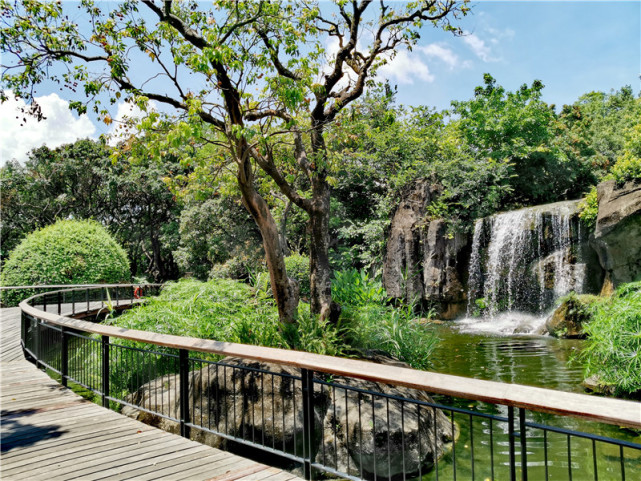 荔枝公园入口处的风景:这假山瀑布就已经引人入胜了