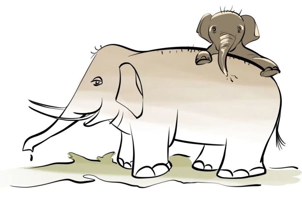 【团·分享】"云小象"旅行记 跟着大象看生态
