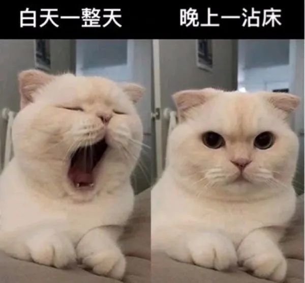 过于真实.