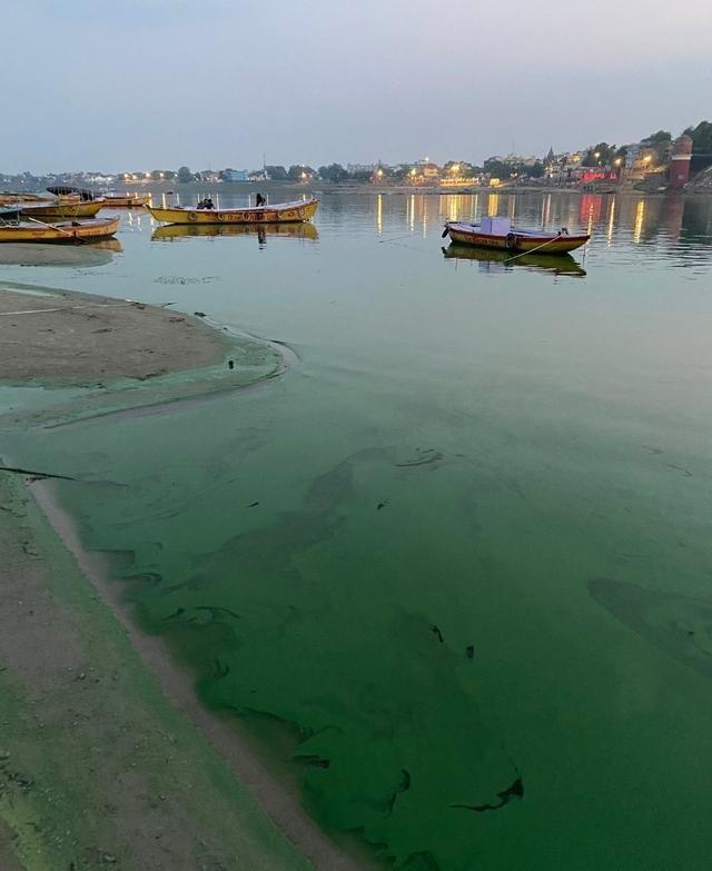 恒河突然变"绿水河",印度人民陷入恐慌,专家警告:水里有毒