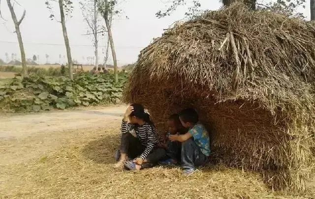 30年前割麦的童年,生活在农村的70,80后看哭了