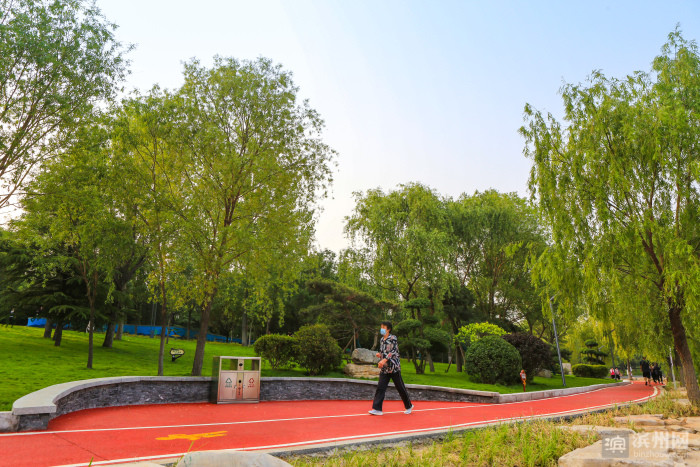 邹平:夏日黛溪湖 满目皆美景