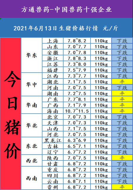 2021年6月14日,今日猪价