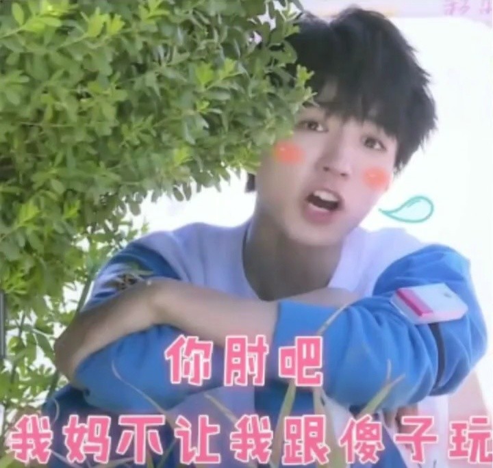 王俊凯搞笑表情包哈哈哈哈哈哈‖是真爱粉没错了
