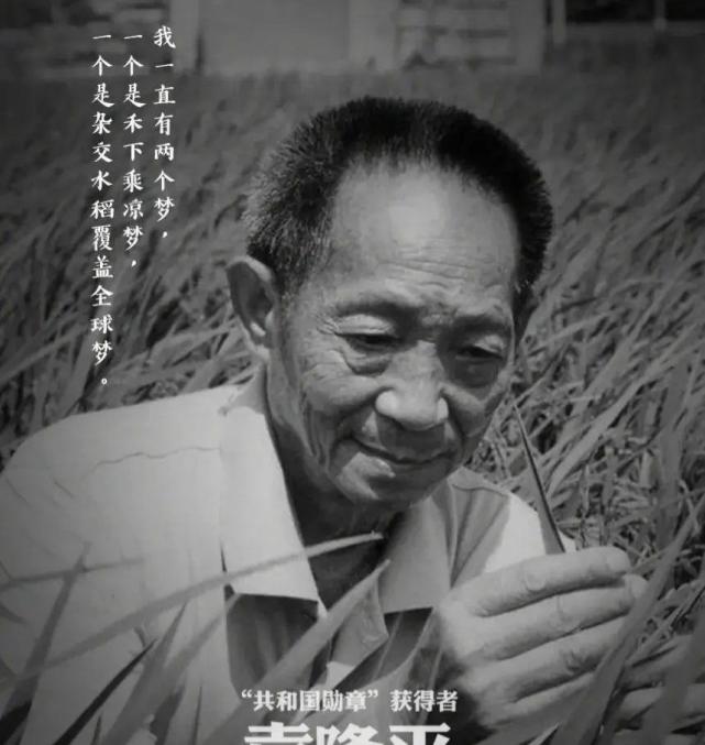 许敏的爷爷许传桢是何许人也?做过什么贡献?和袁公有过交集吗?