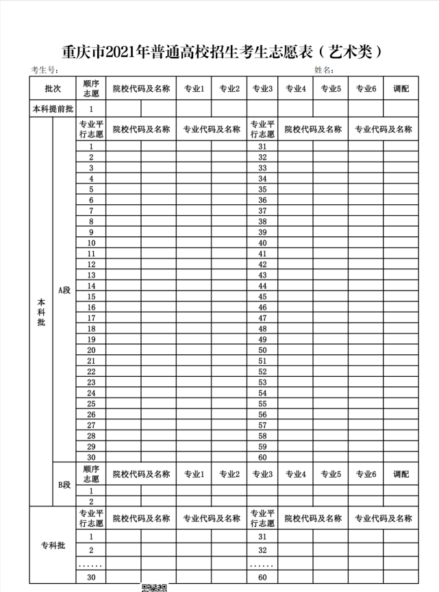 重庆2021年新高考志愿表(模拟填报用)