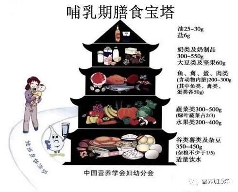 哺乳期 补气养血,活血化淤 宜温补不宜寒凉 宜食汤羹粥类食物