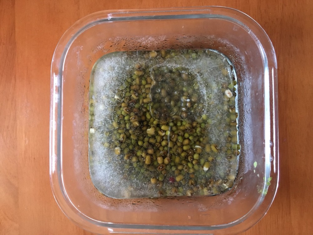 2,浸泡好的绿豆倒入清水,盖上保鲜膜放在冰箱中冷冻一个晚上,将绿豆