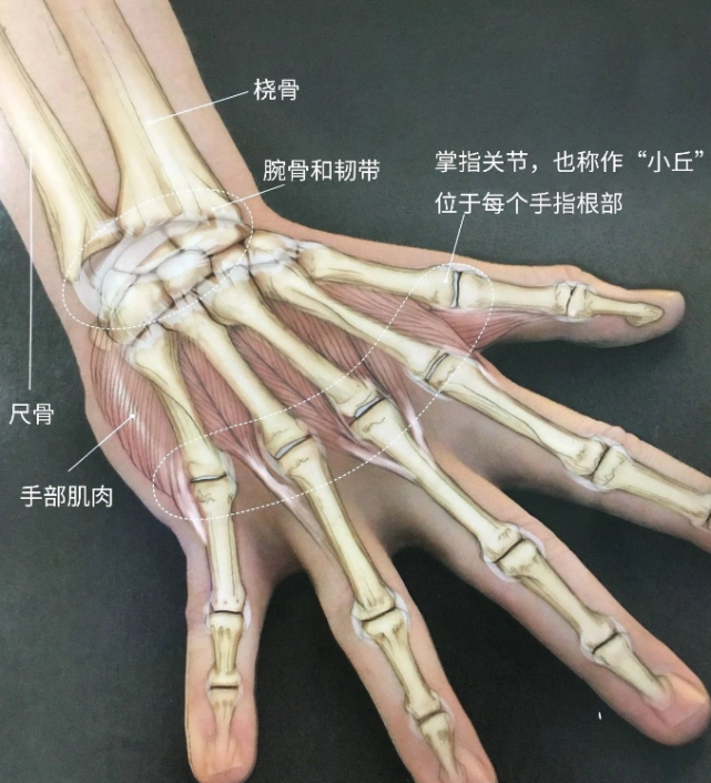 练瑜伽腕关节疼痛?都是这些原因造成的!
