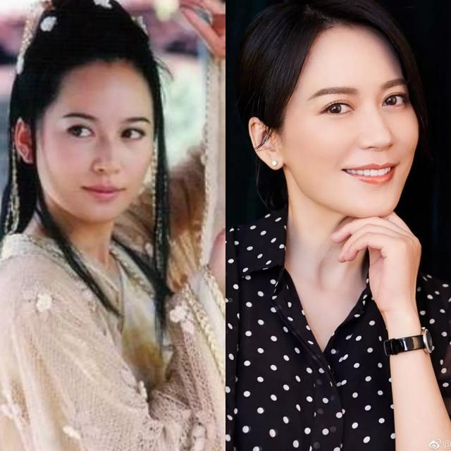 盘点1971年出生的女明星年到半百的她们依然风姿绰约风韵犹存