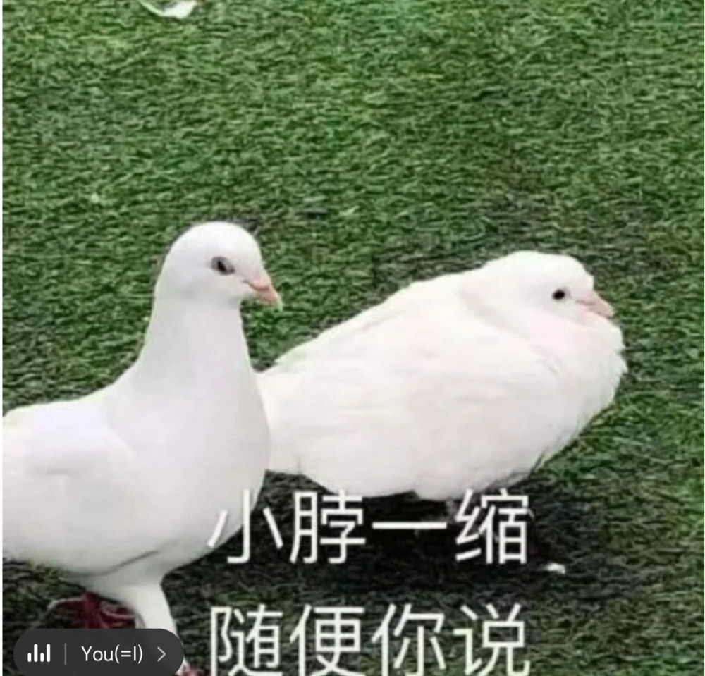 我只当听不见了