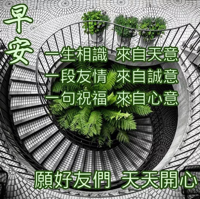 新的一天早上好问候语图片 早上好祝福的句子