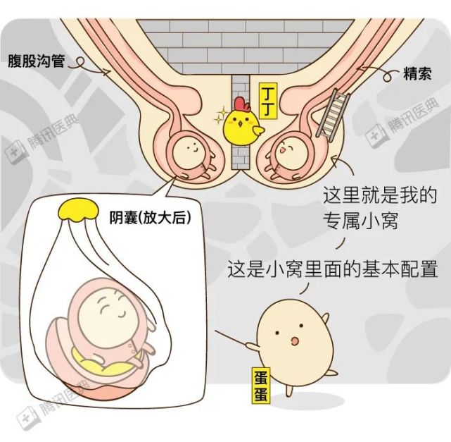 男生的蛋蛋最怕什么?我们总结了5大事故现场,发现