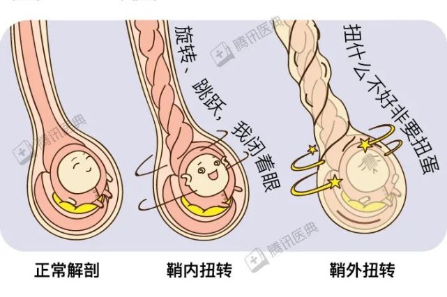 男生的蛋蛋最怕什么?我们总结了5大事故现场,发现