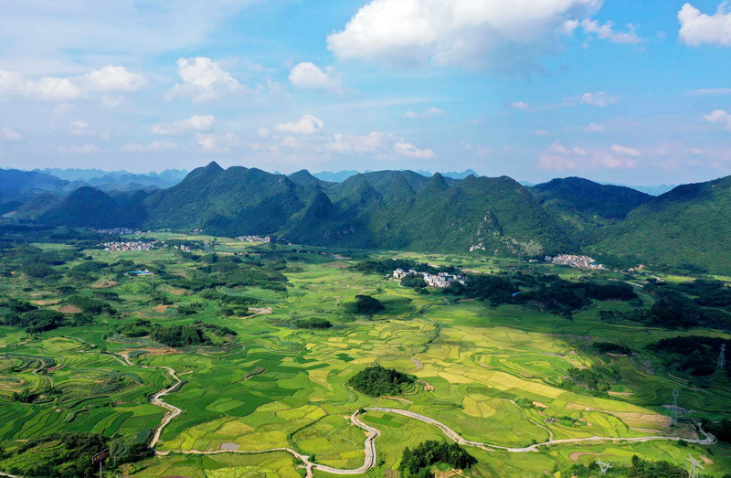 广西融安:夏日田园美