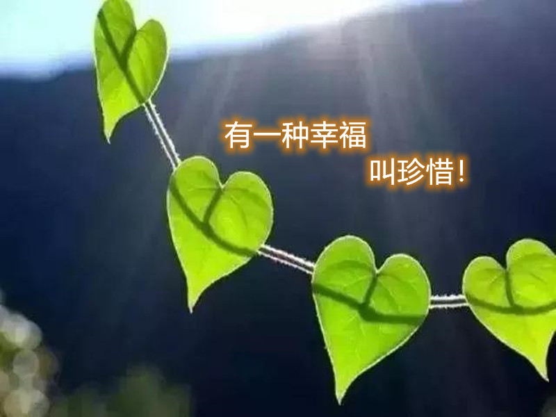 人世间的一切苦难,都是为了让人在幸福来临的时候,懂得珍惜!