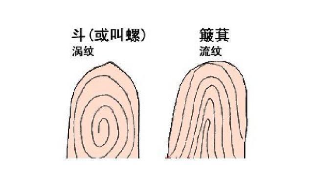 一,"簸箕"和"斗"的区别过去,农村有这样的歌谣:"一斗穷,二斗富,三斗四