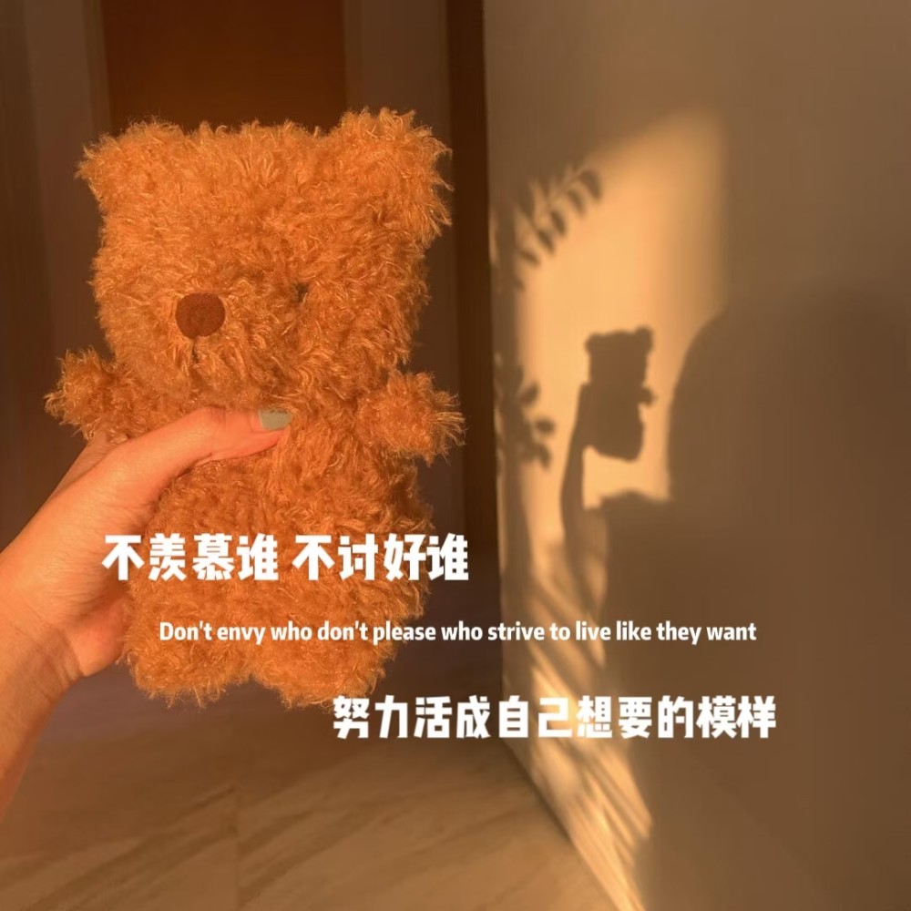 不羡慕谁,不讨好谁,努力活成自己想要的模样.