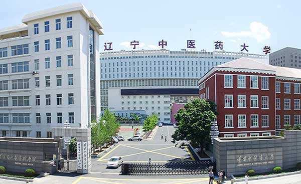 辽宁省第一类大学—辽宁中医药大学