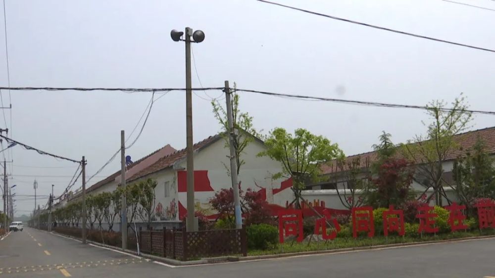 【创文明典范城 让城市更美好】铺集镇:垃圾分类 洁净环境
