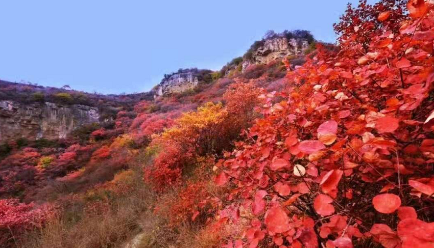 庄子岭红叶大峡谷景区