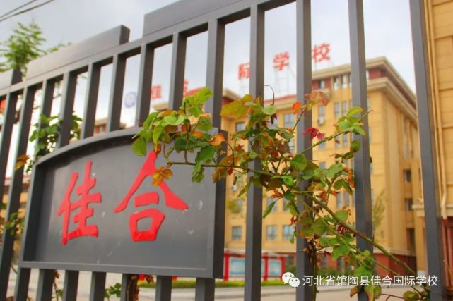 馆陶县|学历|教师资格证|国际学校