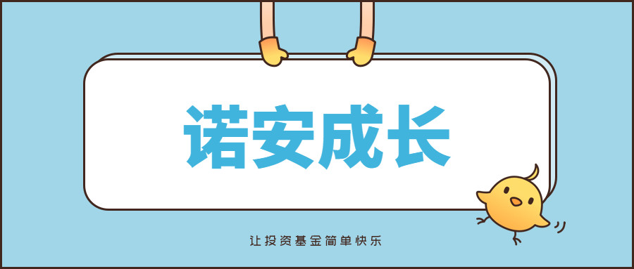 蔡嵩松诺安成长混合:你玩的不是基金,是赌博!