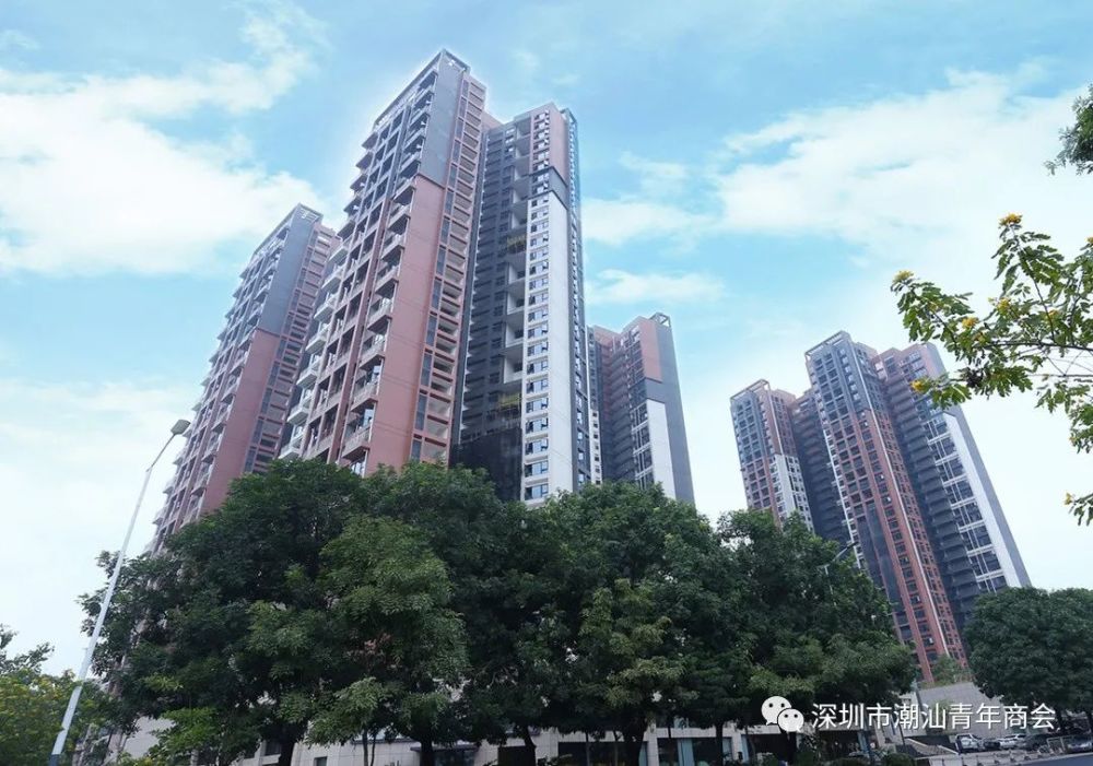 鹏润达集团董事长_润达国际集团