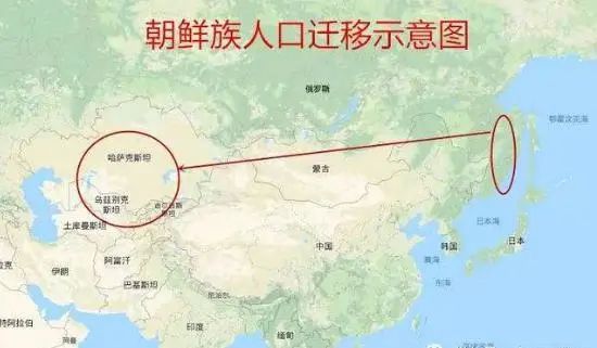 中亚的朝鲜族人是怎么来的?