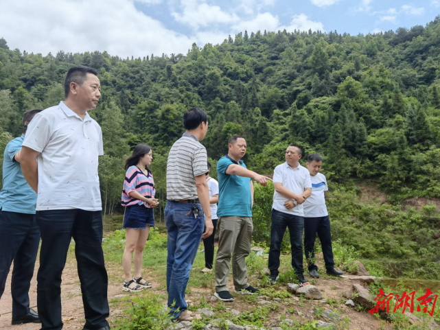 李梦涛到米坡村调研抛荒土地复垦工作|李梦涛|米坡村|吉首