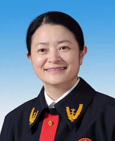 深圳任免多名副庭长