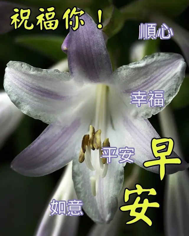 早上祝福语大全 早安图片大全带字大全
