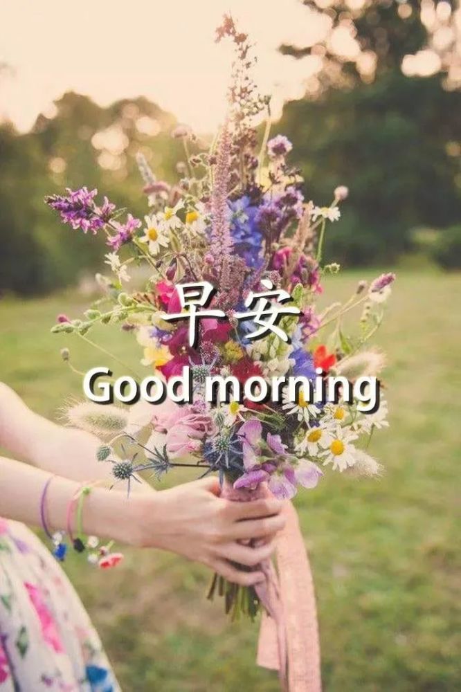 11张非常好看的美女早安问候表情图片 早上好发朋友圈