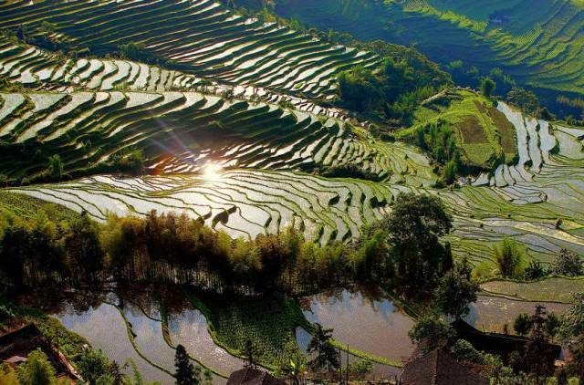 中国10大最美梯田,个个都是摄影天堂!