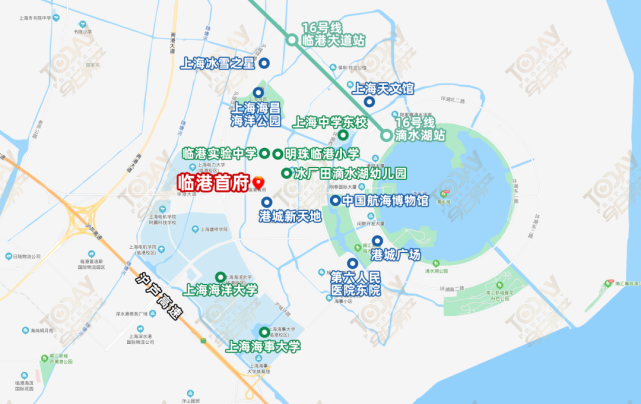 临港主城区"临港首府"32452元/㎡今日开启认购,附一房