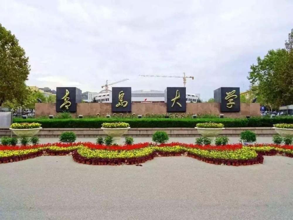 山东纺织工学院,青岛师范专科学校合并成新的青岛大学,为什么是1993年