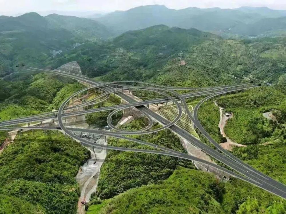 网友问:关于228国道苍南段何时竣工和泰苍高速何时开工?