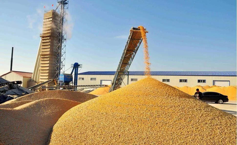 国家粮食和物资储备局:6月起将开展全国粮食流通"亮剑2021"专项执法