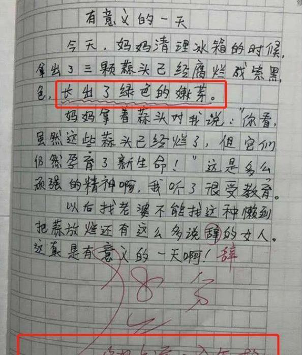 小学生作文"脑回路"清奇,小小年纪就成了红娘,老师看后请家长