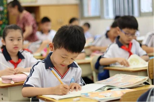 你认为当代小学生写作文的水平怎么样?
