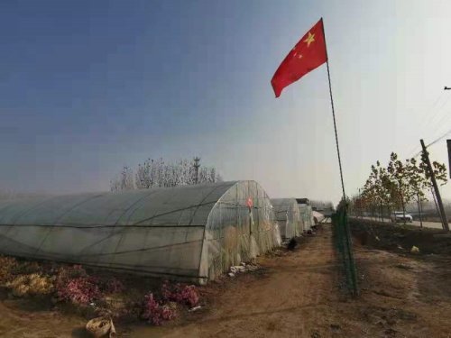 开封市祥符区乡镇GDP_开封市祥符区范村乡 周末上街头 为城镇 美容(3)