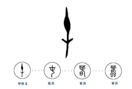 破译1个甲骨文奖10万3000年前的蠢字被破译字形简单的无人信