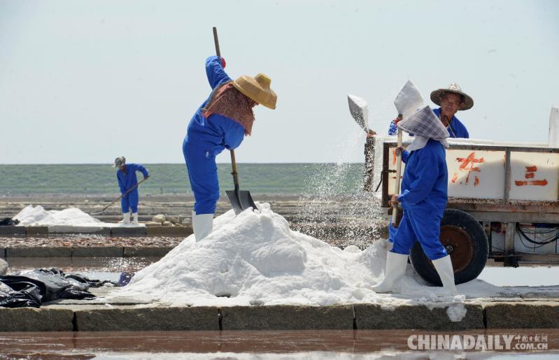 中国日报福州6月16日电 炎炎夏日,正是福建省泉州市泉港区山腰盐场晒