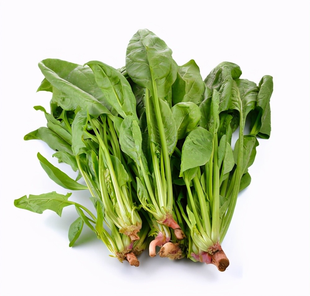 超营养的绿叶菜,你常吃吗?