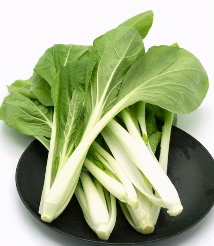 然而在北方,小白菜是不同于油菜的另一种常见绿叶蔬菜