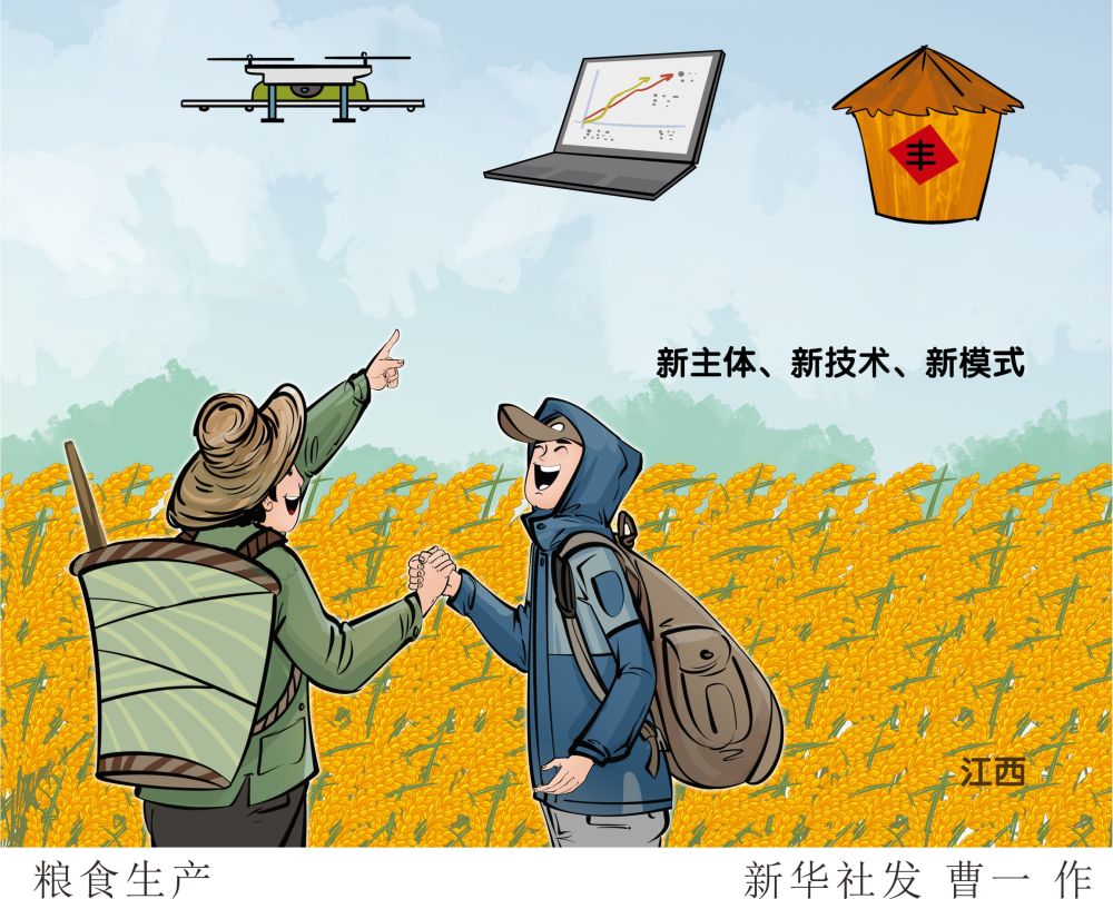(图表·漫画)【中部高质量发展新观察】粮食生产