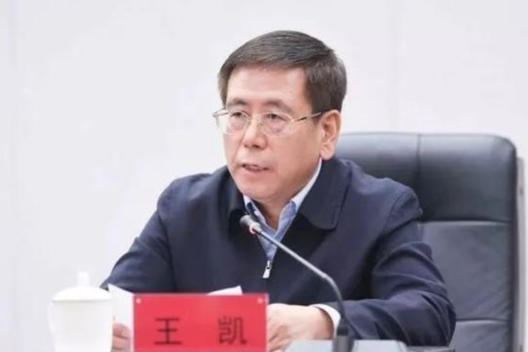 跨省回乡3月后王凯任河南省长,曾在中纪委工作11年