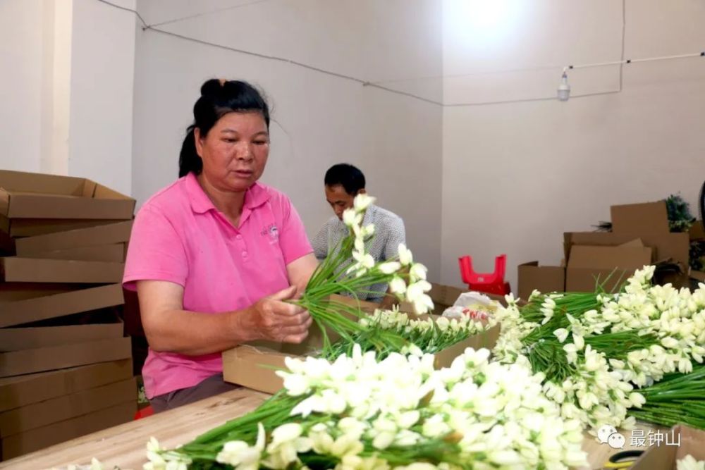 公安镇安置小区居民在就业车间加工塑料花制品.廖超文 摄