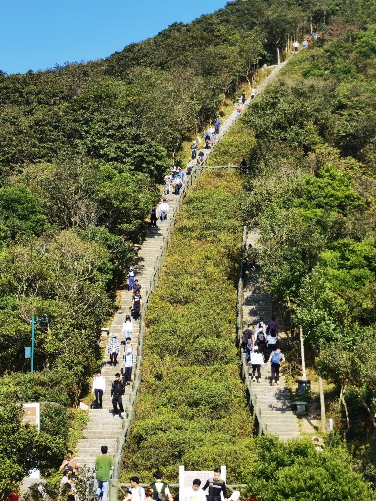 梧桐山上,俯瞰盐田与香港群岛风光