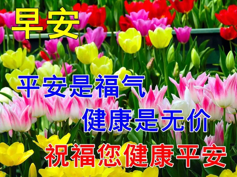 21年最新早上好图片,2020年最新早上好图片 6月21日最漂亮早上好动态表情图片大全,早上好动图美图大全